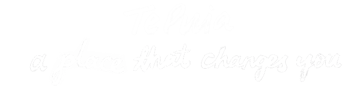 Te Puia蒂普亚地热毛利文化村